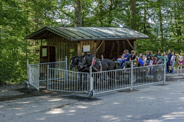 Mountain station, horse-drawn carriage stop for tourists at Neuschwanstein Castle, fairytale castle of King Ludwig II, UNESCO World Heritage Site, mass tourism, Schwangau, Königswinkel, Allgäu, Swabia, Bavaria, Germany