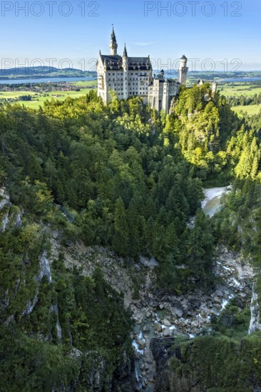 Neuschwanstein Castle by King Ludwig II above the Pöllat Gorge, fairytale castle in the Neo-Romanesque style, UNESCO World Heritage Site, Forggensee, Bannwaldsee, Schwangau, Königswinkel, Allgäu, Swabia, Bavaria, Germany