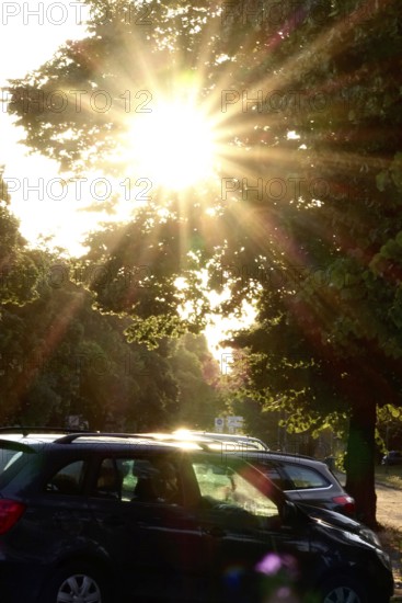 Sun in summer, parked cars, Germany