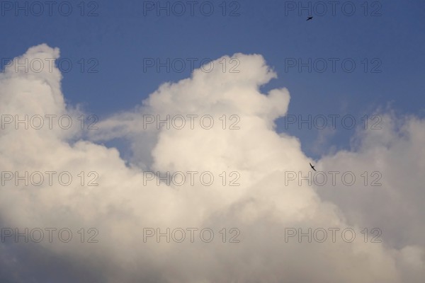 Summer sky with clouds, Germany