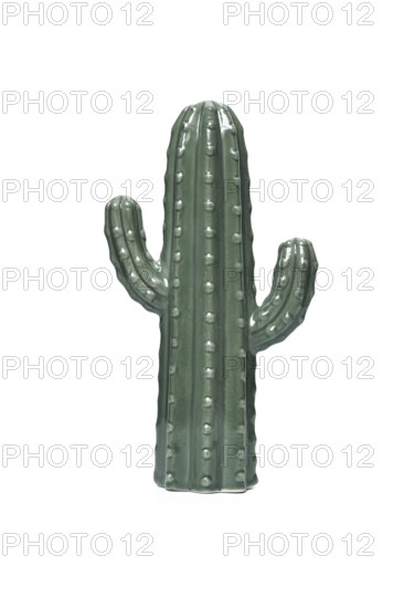 Small green ceramic cactus decorative object on white background
