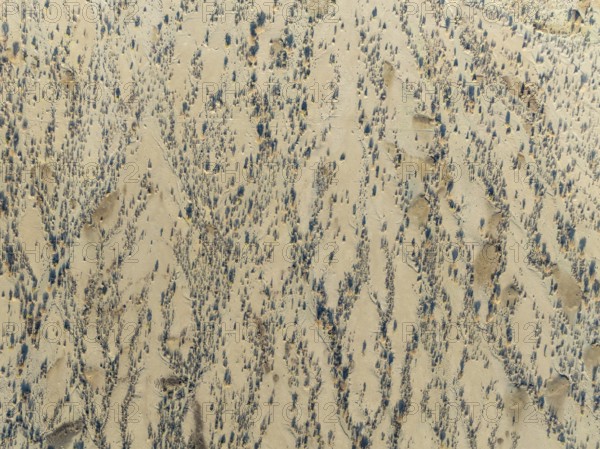 Arid desert plain and dried-up riverbeds with sparse vegetation. Aerial view. Drone shot. Namibia