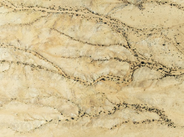 Arid desert plain and dried-up river beds with sparse vegetation. Aerial view. Drone shot. Gondwana Canyon Park. Namibia