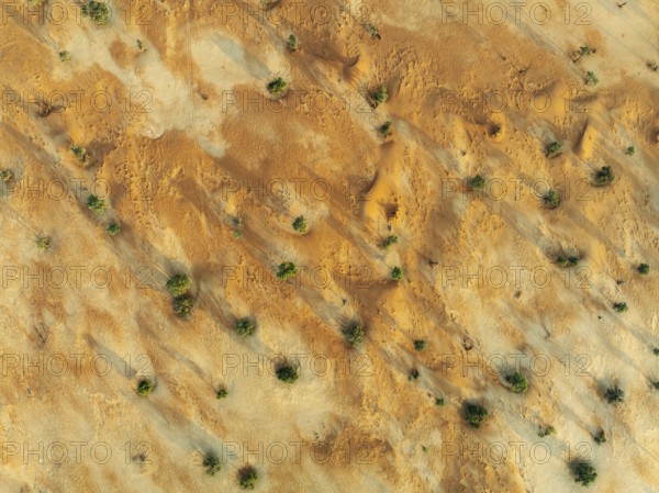 Sandy desert plain with sparse vegetation. Aerial view. Drone shot. Namib Desert, Namibia