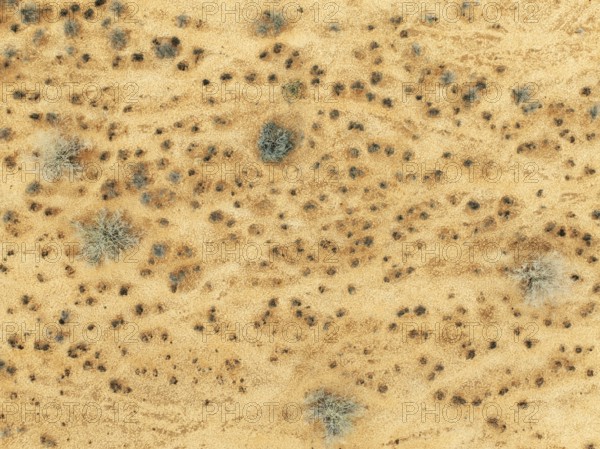 Dried-up river bed with sparse vegetation. Aerial view. Drone shot. Gondwana Canyon Park. Namibia