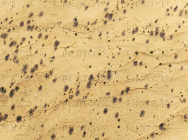 Arid desert plain with sparse vegetation. Aerial view. Drone shot. Namib Desert, Namibia