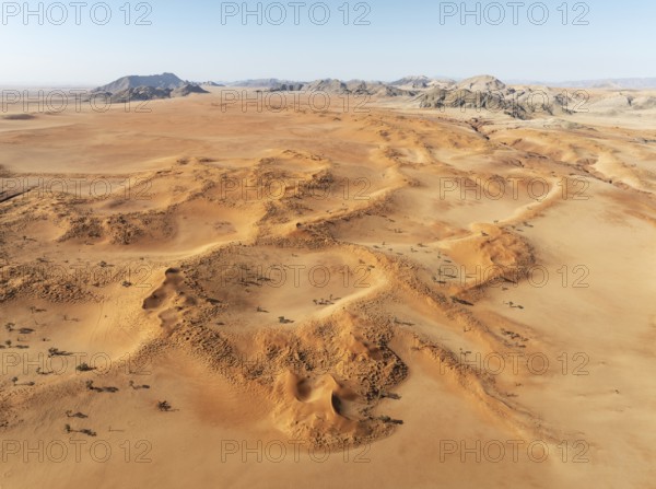 Sand dunes grown with camelthorn trees (Vachellia erioloba) and isolated mountain ridges in the Tsondab Valley in the Namib Desert. Aerial view. Drone shot. Namibia