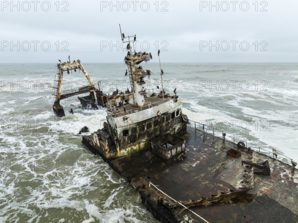 White-breasted Cormorant (Phalacrocorax lucidos). Nesting on the Zeila shipwreck at the Skeleton Coast. Aerial view. Drone shot. Dorob National Park, Namibia