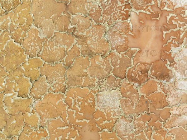 Salt marsh at the Skeleton Coast. Aerial view. Drone shot. Dorob National Park, Namibia