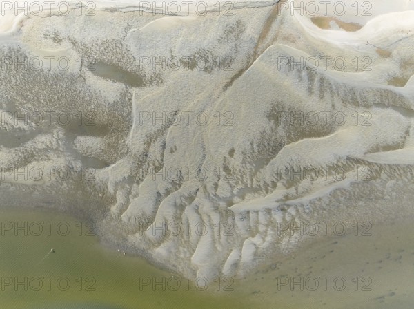 Low tide patterns and Greater Flamingos (Phoenicopterus ruber) at the Walvis Bay Lagoon. Aerial view. Drone shot. Namibia