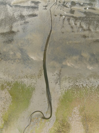 Marshes and streams at low tide in the Walvis Bay Lagoon. Aerial view. Drone shot. Namibia