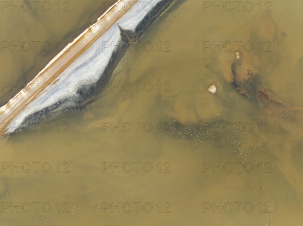 Salt road and Greater Flamingos (Phoenicopterus ruber) at the Walvis Bay Lagoon. Aerial view. Drone shot. Namibia