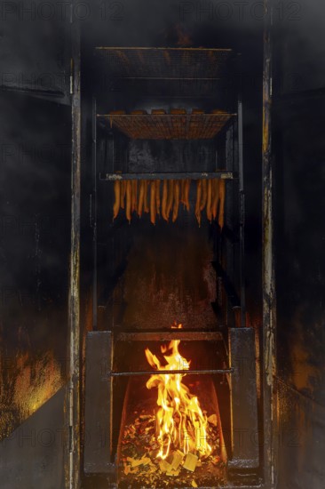 Smoking fish over beechwood fire in large metal smoker oven on the island Usedom in the Baltic Sea, Mecklenburg-Vorpommern, Germany