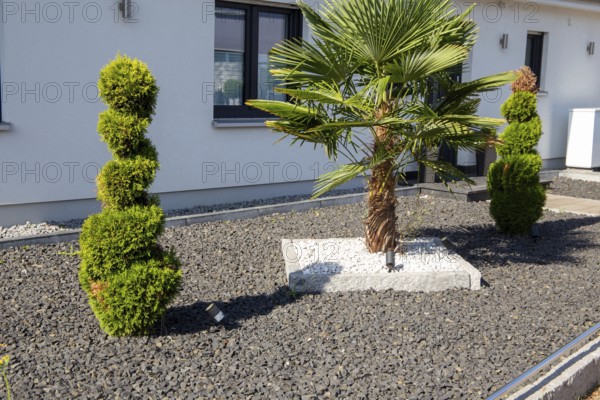 Modern front garden with black basalt chippings and a palm tree framed by white marble gravel
