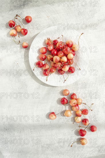 Yellow cherries on a white platter, scattered on the table, natural light, top view