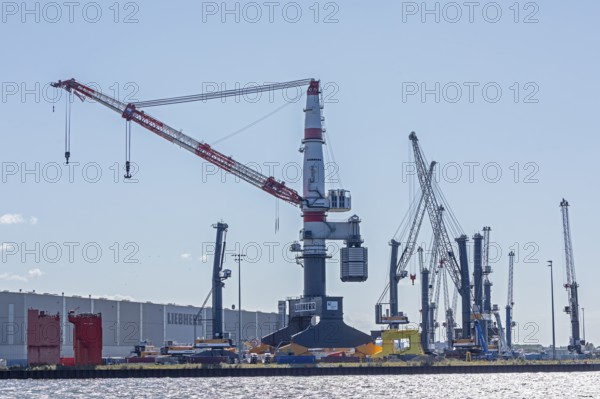 Overseas harbour, Liebherr-MCCtec, heavy-duty crane TCC 78000, Warnemünde, Rostock, Mecklenburg-Western Pomerania, Germany