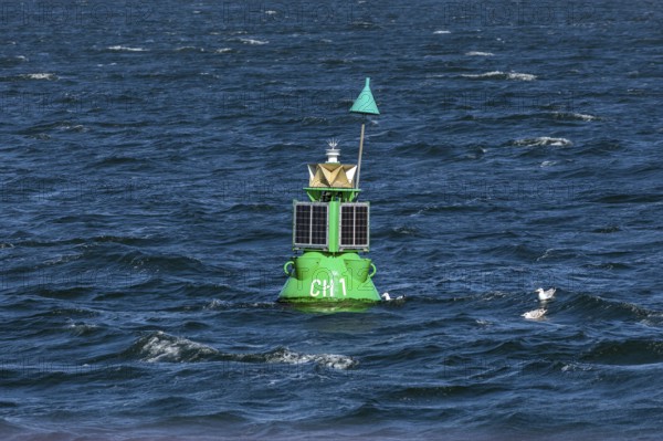 Green buoy, buoy, Warnow, Warnemünde, Rostock, Mecklenburg-Western Pomerania, Germany