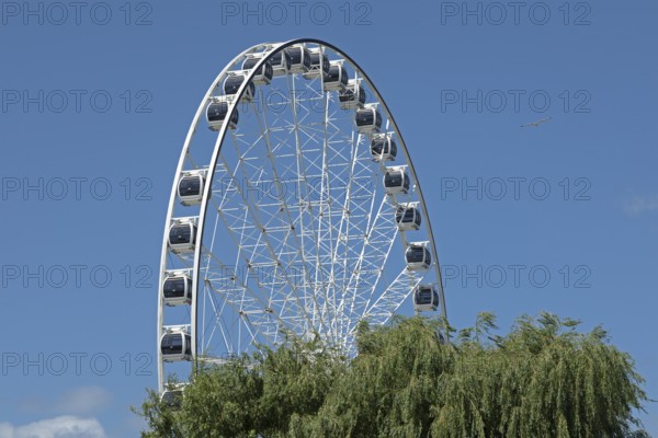 Ferris wheel, Warnemünde, Rostock, Mecklenburg-Vorpommern, Germany