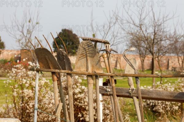 Garden and garden tools on the island of Mazzoboro, Venice, Veneto, Italy
