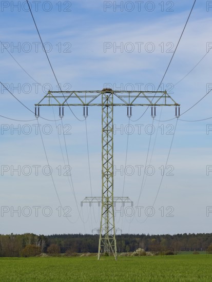 An osprey nest on a power pole, Mecklenburg-Western Pomerania, Müritz region, Germany