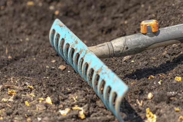 A blue rake lies in dark garden soil