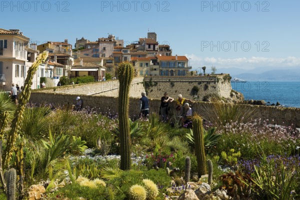 Picturesque town by the sea, Antibes, Provence Alpes Côte d'Azur, South of France, France