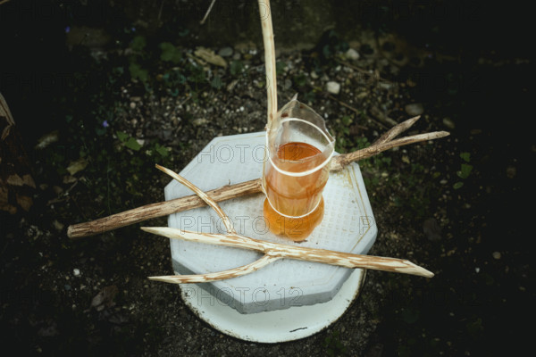 Arasadzikh. Altar to old god, a pagan ritual taking place on 14-01, every year. Under earth is the family wine barrel, the three forks of the wooden stick represent lungs (air), heart (strength) and liver (life), meat that is eaten ritually with all clan members on that day, Ochamchira, Abkhazia, Georgia