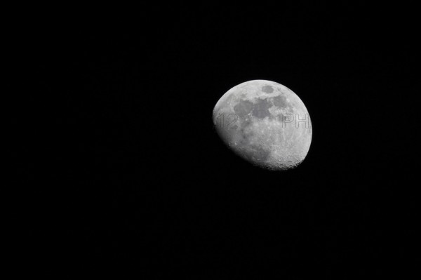 Moon (Luna), half moon in front of a black sky, Wilnsdorf. North Rhine-Westphalia, Germany