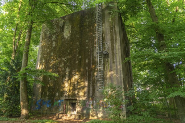 Mossy air-raid shelter on the eastern edge of the Bürgerpark on Parkallee, built during the Nazi era, landscape park, garden monument, ladder, groups of trees, nature, city state of Bremen, Germany