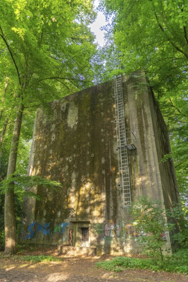 Mossy air-raid shelter on the eastern edge of the Bürgerpark on Parkallee, built during the Nazi era, landscape park, garden monument, ladder, groups of trees, nature, city state of Bremen, Germany