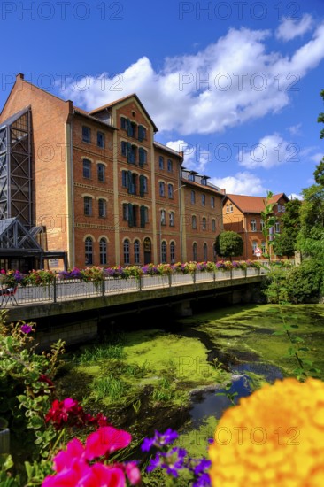 Little Venice, historic canals, on the River Oker, Wolfenbüttel, Lower Saxony, Germany