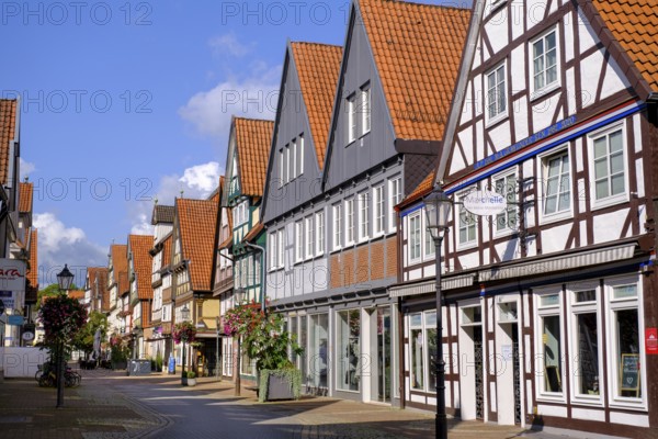 Half-timbered houses in the old town centre, Celle, Lüneburg Heath, Lower Saxony, Germany