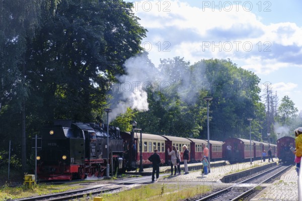 Steam locomotive, Harzquerbahn, near Drei Annen Hohne, Harz, Saxony-Anhalt, Germany