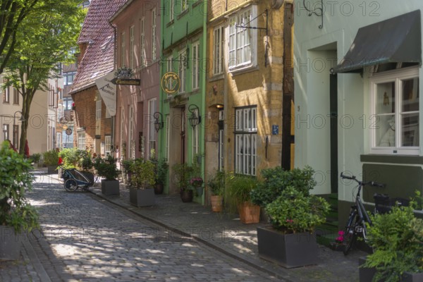 Renovated Schnoor neighbourhood with small shops, galleries, restaurants, cafés and residential buildings, Gängeviertel in the old town, former fishermen's and boatmen's settlement, narrow alleys, flower pots, trees, pedestrian zone, numerous listed buildings, classicist, historicist, baroque and renaissance architecture, tourist attraction, destination, pleasure, Hanseatic city of Bremen, Germany