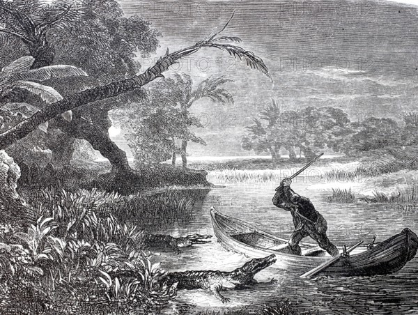 Man in a rowing boat strikes an attacking crocodile with a stick, 1880, Brazil, digitally enhanced reproduction of a 19th century model, historical, exact date unknown