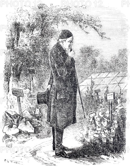 The cane and its use, A scholar's cane, Historical, digitally enhanced reproduction of a 19th century model