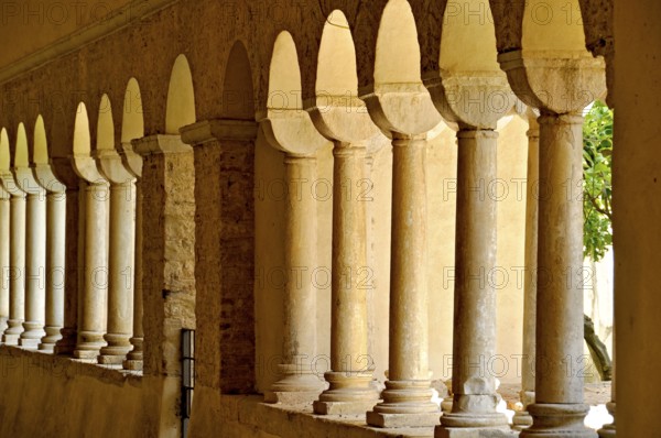 Romanesque columns, double columns in the cloister, Gothic basilica of the Cistercian Abbey of Fossanova, Cistercian-Burgundian architectural style, Priverno, Province of Latina, Lazio, Italy
