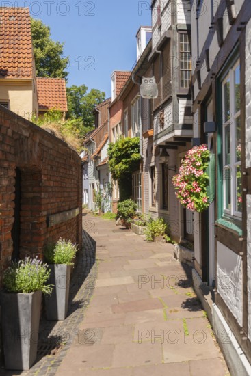 Schmaler Weg Hinter der Balge, half-timbered house with bay window, renovated Schnoor district with small shops, galleries, restaurants, cafés and residential buildings, Gängeviertel in the old town, former fishermen's and boatmen's settlement, narrow alleyways, pedestrian zone, numerous listed buildings, classicist, historic, baroque and renaissance architecture, flower pots, tourist attraction, destination, pleasure, Hanseatic city of Bremen, Germany