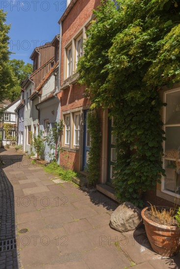 Schmaler Weg Hinter der Balge, renovated Schnoor neighbourhood with small shops, galleries, restaurants, cafés and residential buildings, Gängeviertel in the old town, former fishermen's and boatmen's settlement, narrow alleyways, pedestrian zone, numerous listed buildings, classicist, historic, baroque and renaissance architecture, flower pots, green facades, tourist attraction, destination, pleasure, Hanseatic city of Bremen, Germany