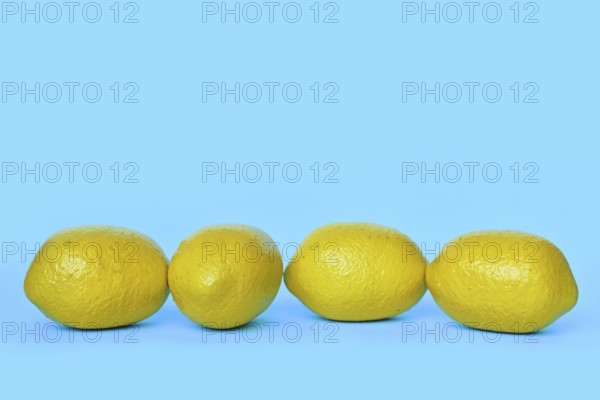 Four lemon fruits on blue background with copy space