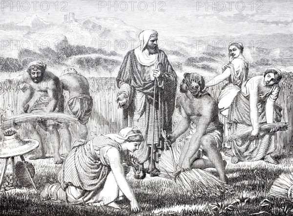 Biblical story, Ruth and Boaz as reapers, grain harvest, Ruth throws herself humbly to the ground in front of Boaz, 1875, digitally enhanced reproduction from a 19th century original, historical, exact date unknown