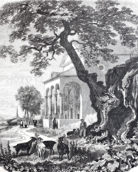 Chapel near Trons, Disentis in the canton of GraubÃ¼nden, 1876, in front of it an ancient maple tree, Switzerland, digitally enhanced reproduction from a 19th century model, historical, exact date unknown