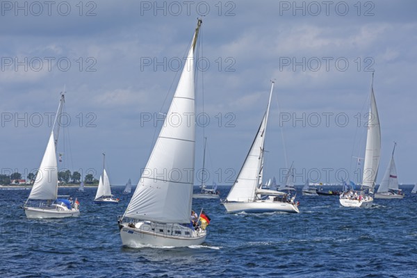 Sailing boats, Kieler Woche, Kiel Fjord, Kiel, Schleswig-Holstein, Germany