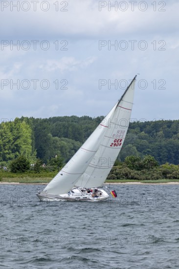 Sailing boat, Kieler Woche, Kiel Fjord, Kiel, Schleswig-Holstein, Germany