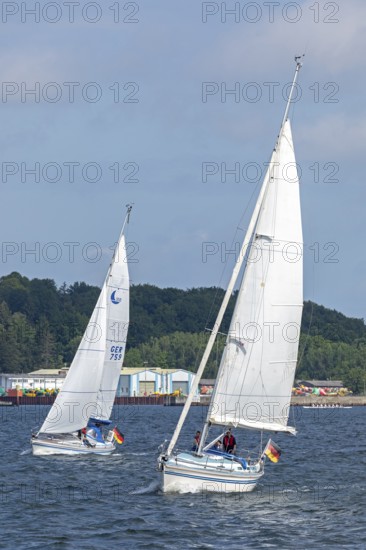 Sailing boats, Kieler Woche, Kiel Fjord, Kiel, Schleswig-Holstein, Germany