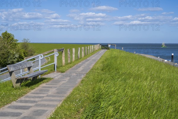 Bench and path on the dyke, Tammensiel, Pellworm Island, North Frisia, North Sea, Schleswig-Holstein, Germany