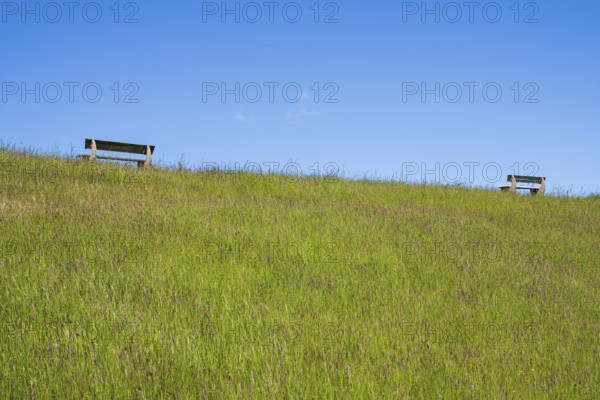 Benches on the dyke, Pellworm Island, North Frisia, North Sea, Schleswig-Holstein, Germany