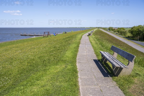 Bench and path on the dyke, Pellworm Island, North Frisia, North Sea, Schleswig-Holstein, Germany
