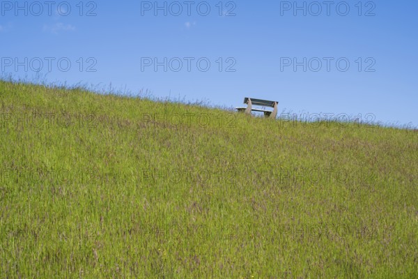 Lonely bench on the dyke, Pellworm Island, North Frisia, North Sea, Schleswig-Holstein, Germany