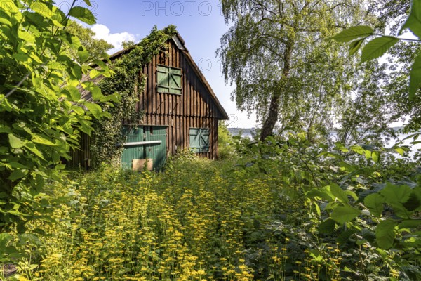 Abandoned hut on the Prinzeninsel in the GroÃŸer Plöner See near Plön, Schleswig-Holstein, Germany